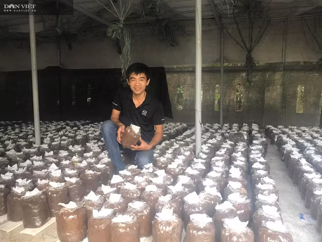 Hiện tại anh Nhi có ba trại nấm với tổng diện tích là 2.500m2, chuyên trồng nấm bào ngư và nấm linh chi, cho mức lãi hơn 270 triệu đồng mỗi năm. Ba trại trồng nấm của anh ở hôn Thạch Nham Đông, xã Hòa Nhơn, huyện Hòa Vang, TP Đà Nẵng.