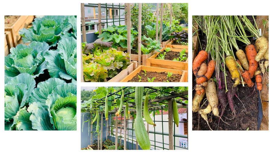 Đồ họa: Đức Mạnh Đồ họa: Đức Mạnh