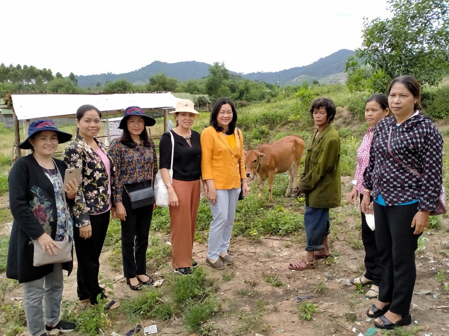 Hội Liên hiệp Phụ nữ tỉnh tặng 1 con bò sinh sản cho hộ ông Đinh Chơnh, ở làng Bngăl, xã Krong (huyện Kbang). Ảnh: Minh Hạnh