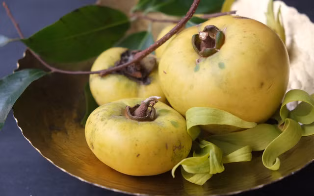  Ảnh minh họa (nguồn: Internet)