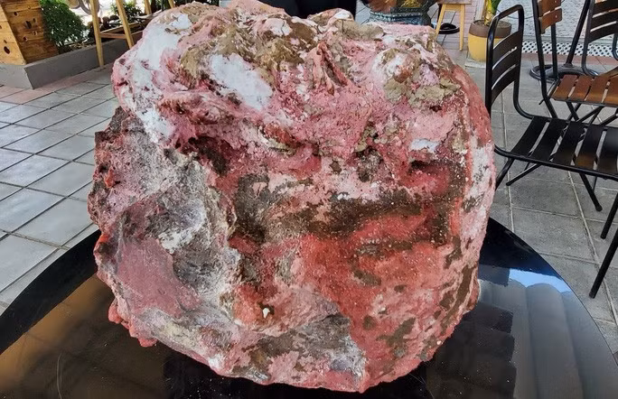 Khối đá đỏ nghi Long diên hương anh T. nhặt được. Ảnh: T.Trực