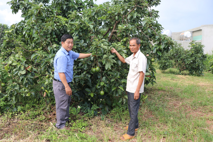 Cán bộ Phòng Nông nghiệp và PTNT huyện Kông Chro (bên trái) hướng dẫn kỹ thuật chăm sóc cây ăn quả cho người dân. Ảnh: Ngọc Minh