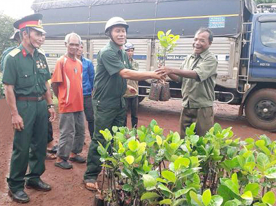  Hội Cựu chiến binh huyện Chư Pưh hỗ trợ cây giống cho các hộ nghèo xã Ia Phang. Ảnh: P.N