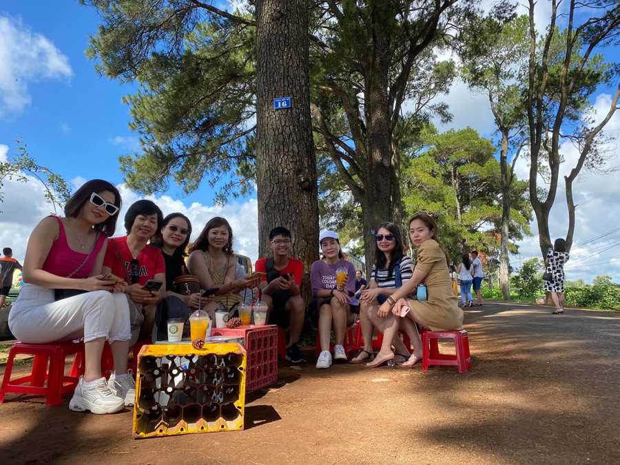 2-9 Hàng thông trăm tuổi vẫn có sức hút riêng đối với du khách trong và ngoài tỉnh-ảnh Ngọc Thu