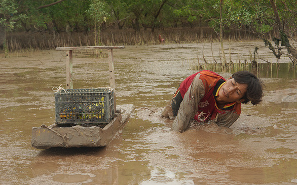 Anh Cò đang thụt bắt cá bống sao - Ảnh: MINH TÂM