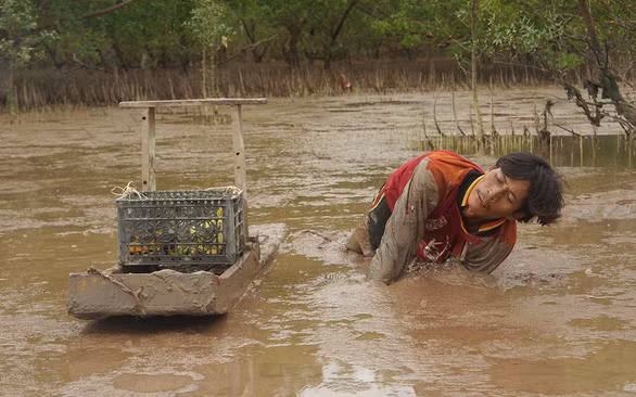 Anh Cò đang thụt bắt cá bống sao - Ảnh: MINH TÂM