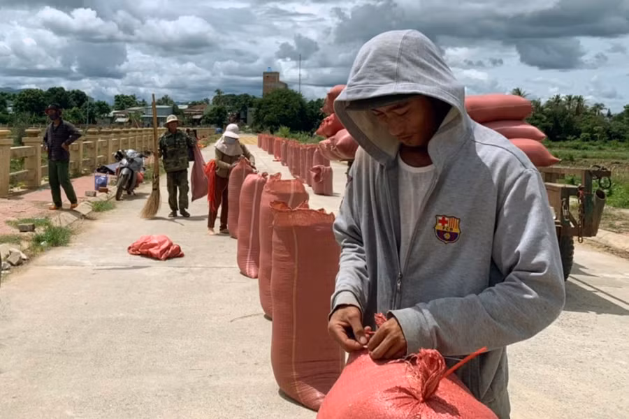 Không khí hăng say lao động bao trùm các xã, phường tại thị xã Ayun Pa. Ảnh: Vũ Chi