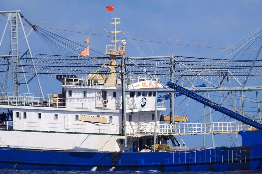 Giàn lưới chụp và hệ thống đèn led hàng trăm chiếc ẢNH: MAI THANH HẢI