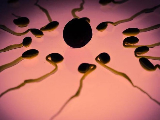 Ngoài sức khỏe và tuổi tác của 