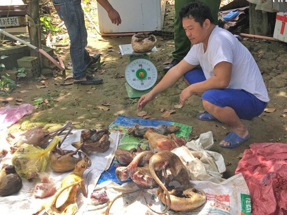 Nguyễn Văn Thành tại thời điểm bị phát hiện cùng số động vật rừng quý hiếm Nguyễn Văn Thành tại thời điểm bị phát hiện cùng số động vật rừng quý hiếm
