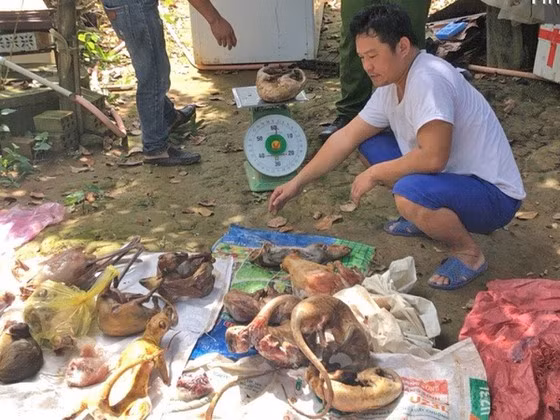 Nguyễn Văn Thành tại thời điểm bị phát hiện cùng số động vật rừng quý hiếm