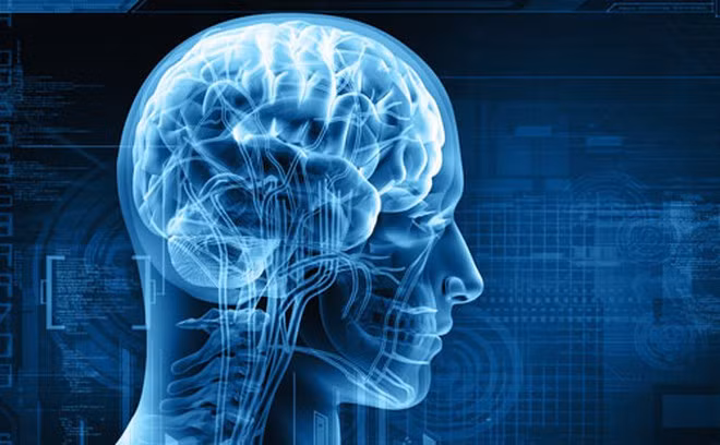 Huyết áp cao và bệnh tiểu đường ảnh hưởng đến việc cung cấp máu cho não ẢNH MINH HỌA: SHUTTERSTOCK