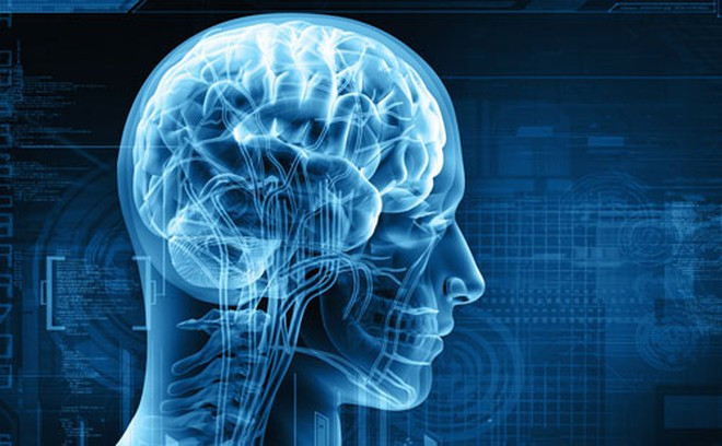 Huyết áp cao và bệnh tiểu đường ảnh hưởng đến việc cung cấp máu cho não ẢNH MINH HỌA: SHUTTERSTOCK Huyết áp cao và bệnh tiểu đường ảnh hưởng đến việc cung cấp máu cho não ẢNH MINH HỌA: SHUTTERSTOCK