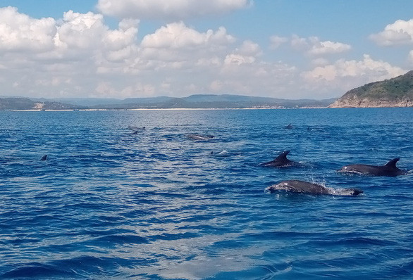 Các du khách chụp được hình ảnh thú vị này vào buổi sáng trời đẹp, biển lặng - Ảnh: BÙI NGỌC LƯƠNG