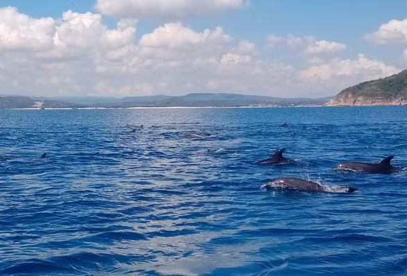 Các du khách chụp được hình ảnh thú vị này vào buổi sáng trời đẹp, biển lặng - Ảnh: BÙI NGỌC LƯƠNG