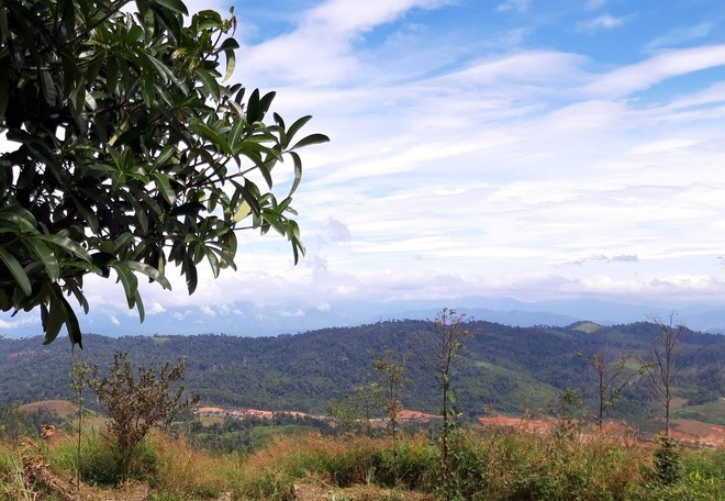 Khu vực biên giới ngã ba Đông Dương ẢNH: ĐỨC NHẬT