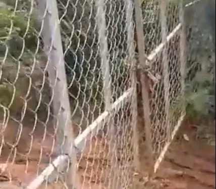 Chủ vườn đóng cổng con đường vào vườn sầu riêng để không cho xe ra. Ảnh cắt từ clip