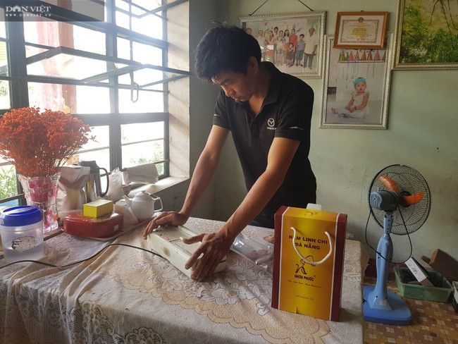 Anh Nhi đang dùng máy hút chân không, đóng hộp nấm linh chi. Loại nấm được xem là thần dược và đem lại giá trị kinh tế cao.