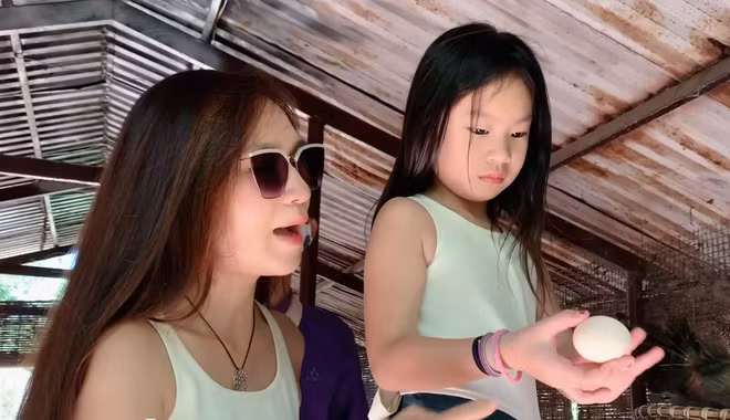 Con gái Lý Hải khoe khoảnh khắc đáng yêu khi cùng mẹ thu hoạch trứng gà ẢNH: CHỤP MÀN HÌNH