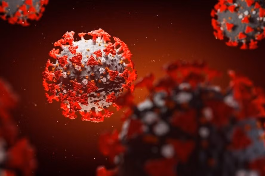 Các nhà nghiên cứu Mỹ tìm ra kháng thể có thể “vô hiệu hóa hoàn toàn và chính xác” virus SARS-CoV-2. Ảnh: Fox News.