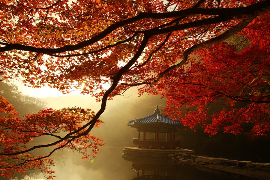  Phong cảnh dưới chân núi Naejangsan, Hàn Quốc (chụp hồi tháng 10.2019) - Ảnh: Thanh Tuấn