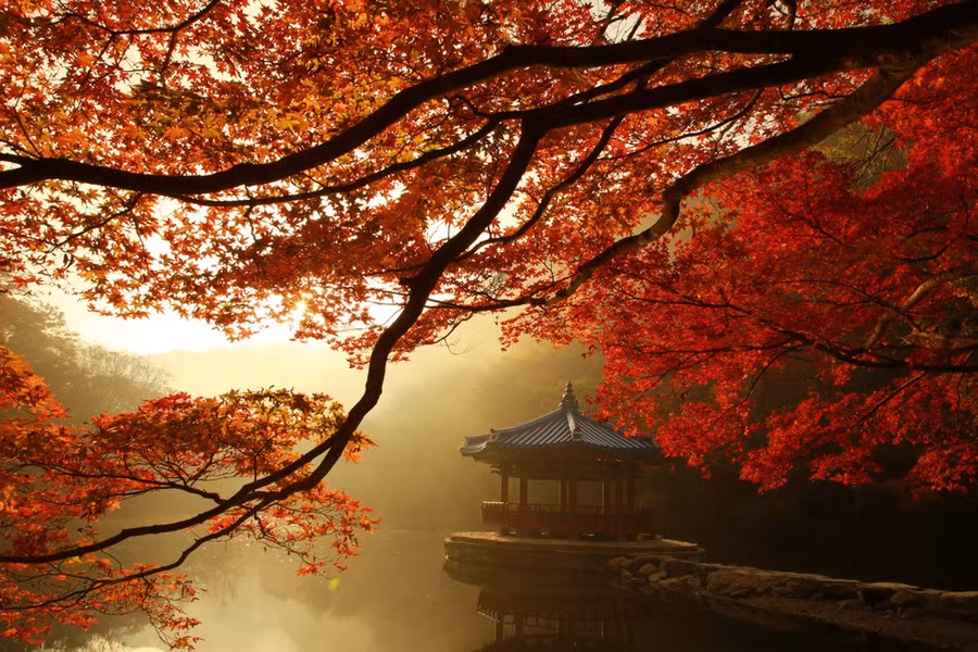  Phong cảnh dưới chân núi Naejangsan, Hàn Quốc (chụp hồi tháng 10.2019) - Ảnh: Thanh Tuấn