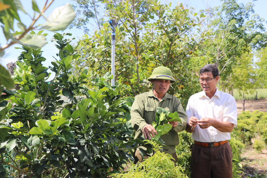 Nông dân xã Yang Trung (huyện Kông Chro) trao đổi kinh nghiệm chuyển đổi cây trồng giúp nâng cao thu nhập. Ảnh: Ngọc Minh