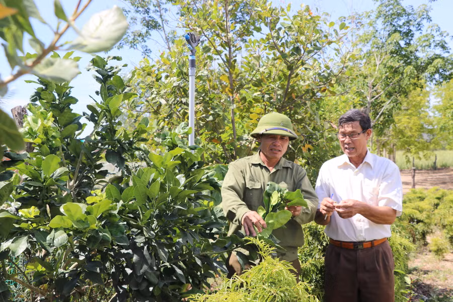 Nông dân xã Yang Trung (huyện Kông Chro) trao đổi kinh nghiệm chuyển đổi cây trồng giúp nâng cao thu nhập. Ảnh: Ngọc Minh