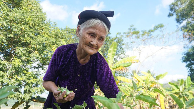 Dù đã 84 tuổi nhưng cụ Đỗ Thị Mơ vẫn còn nhanh nhẹn, hoạt bát ẢNH MINH HẢI Dù đã 84 tuổi nhưng cụ Đỗ Thị Mơ vẫn còn nhanh nhẹn, hoạt bát ẢNH MINH HẢI