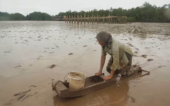 Bà Binh vất vả kiếm sống trên bãi bùn - Ảnh: MINH TÂM
