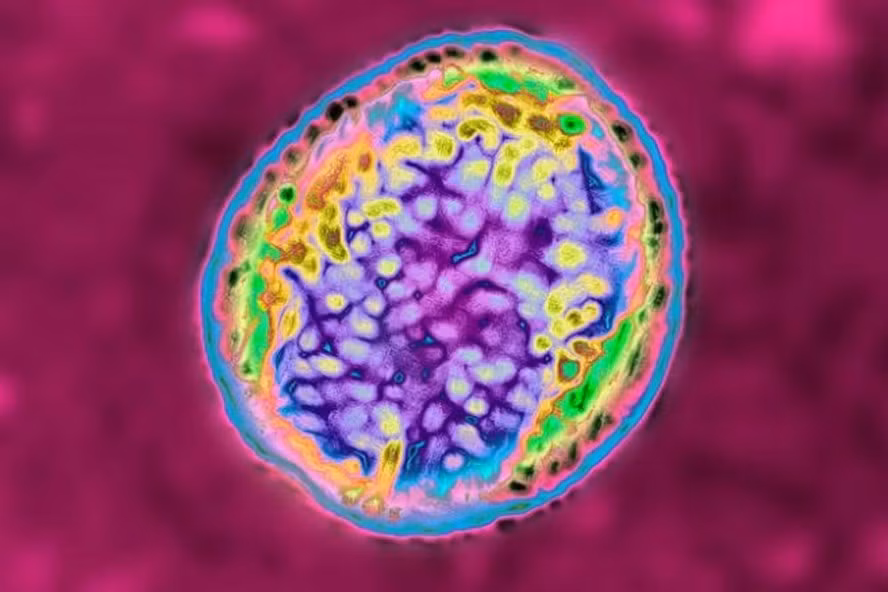 Hàng nghìn người ở tây bắc Trung Quốc mắc căn bệnh do vi khuẩn gây ra. Ảnh: Getty.