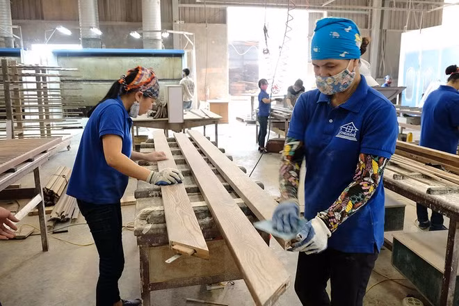  Xuất khẩu gỗ và các sản phẩm từ gỗ dự kiến đạt không dưới 12 tỉ USD trong năm nay - Ảnh: Phạm Hùng