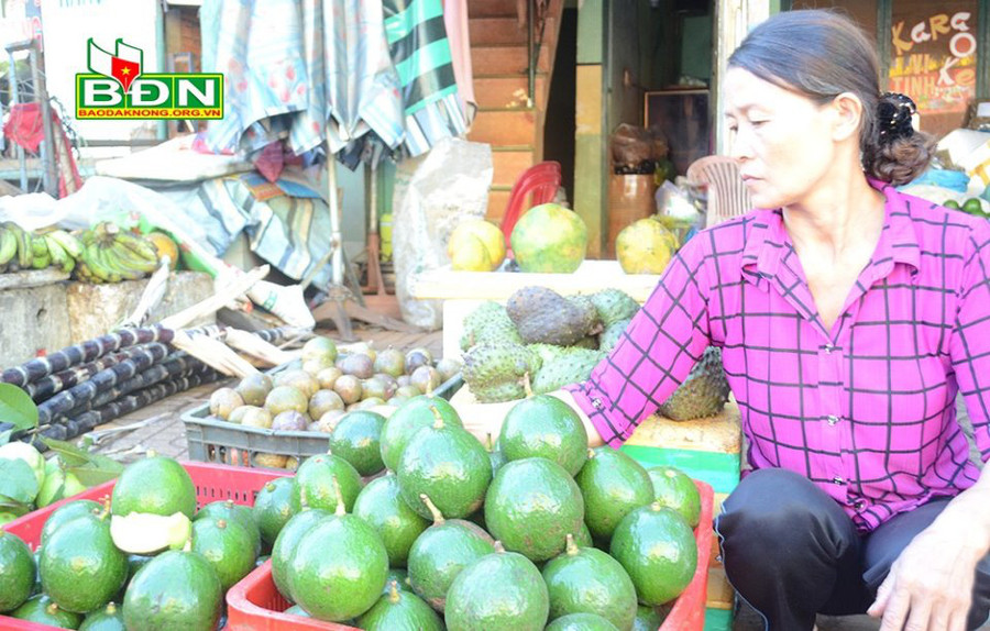 Nhiều tư thương ở chợ Gia Nghĩa (tỉnh Đắk Nông) có lượng bơ bán ra bằng 1/2 so với mọi năm