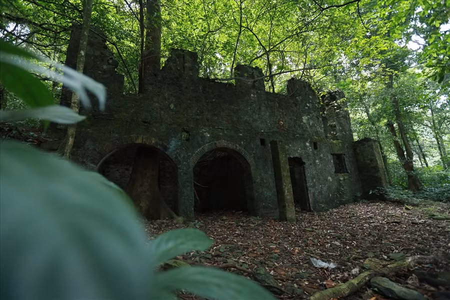 Khu cô nhi viện với cây cổ thụ mọc giữa lòng kiến trúc. Ảnh: Hải Nguyễn Khu cô nhi viện với cây cổ thụ mọc giữa lòng kiến trúc. Ảnh: Hải Nguyễn