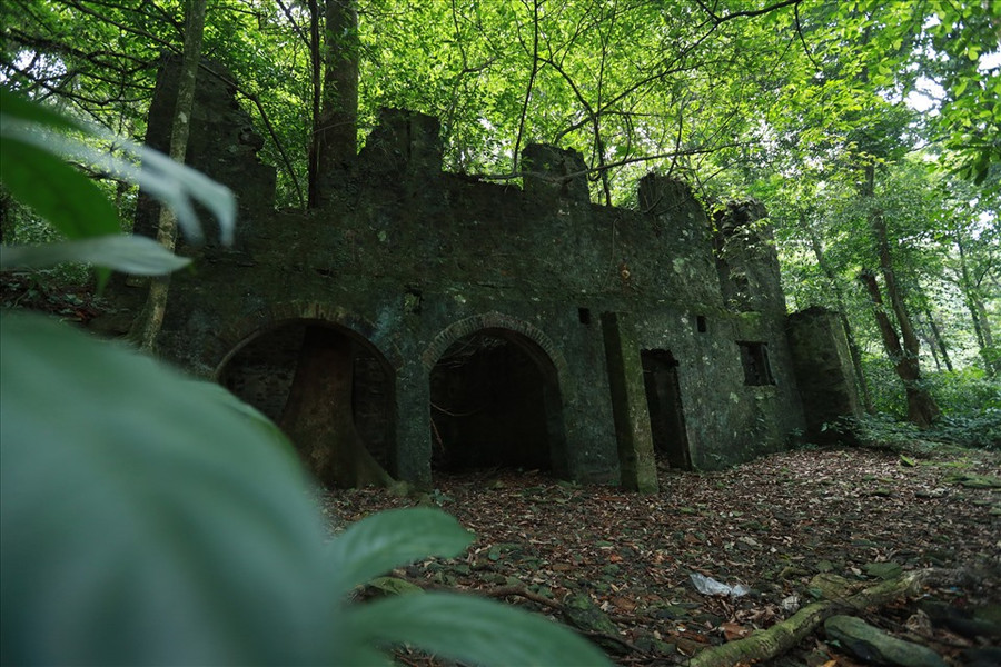 Khu cô nhi viện với cây cổ thụ mọc giữa lòng kiến trúc. Ảnh: Hải Nguyễn