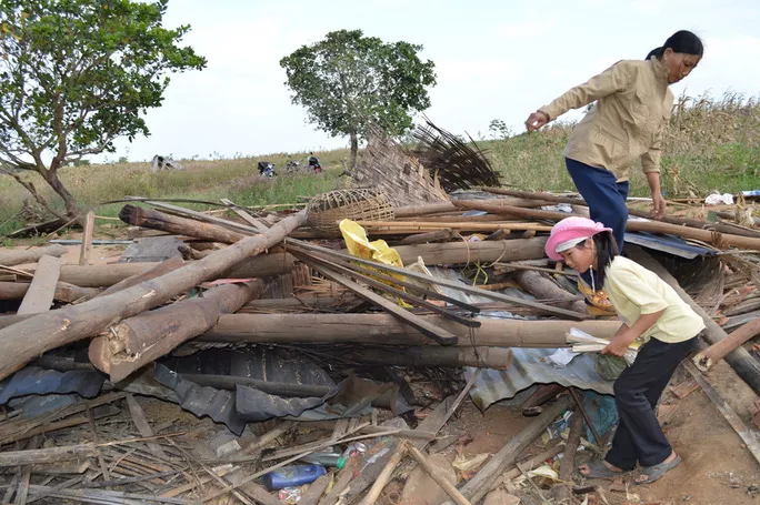 Voi rừng từng phá nhà cửa của người dân ở huyện Cư Jút