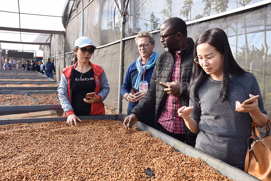 Khách hàng tham quan khu vực chế biến cà phê của Công ty TNHH Vĩnh Hiệp (TP. Pleiku). Ảnh: Lê nam