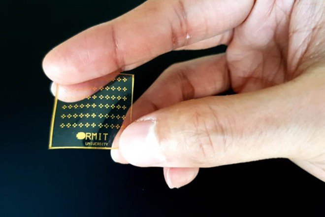 Da nhân tạo được phát triển giống da người ẢNH: ĐẠI HỌC RMIT