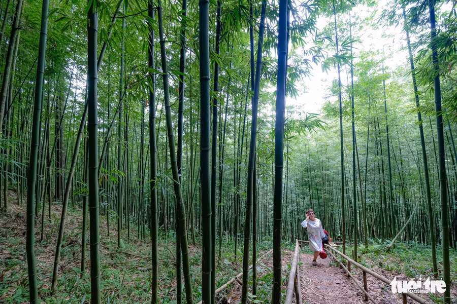 Mặc dù đường vào khá khó khăn, nhiều du khách tới đây cho biết rất ấn tượng, ngỡ chỉ thấy ở Hàn Quốc, Trung Quốc hay trong các bộ phim kiếm hiệp