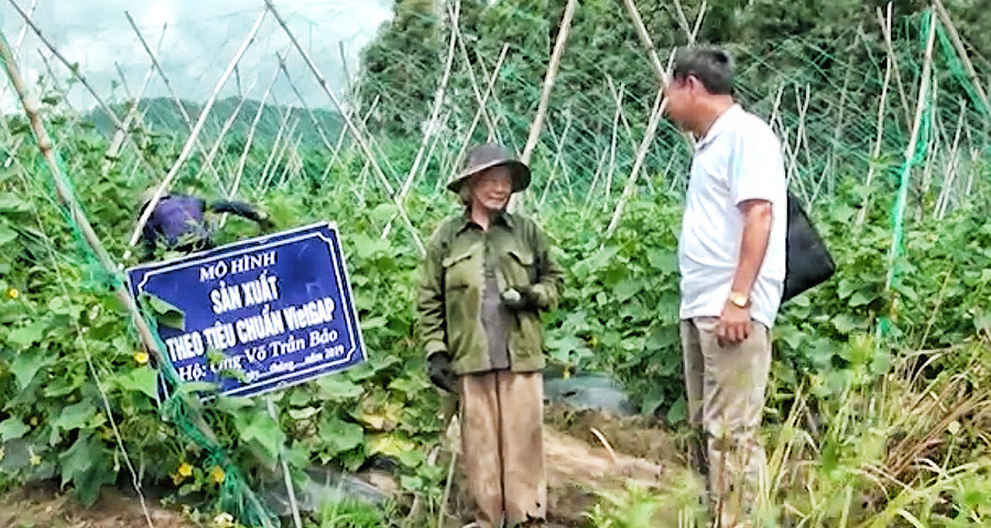 “Sản xuất rau an toàn gắn với phát triển du lịch cộng đồng” của Hợp tác xã Nông nghiệp và Dịch vụ An Nhiên (xã An Trung, huyện Kông Chro) do chị Trần Thị Tầm làm chủ nhiệm. Ảnh: Hoàng Ngọc