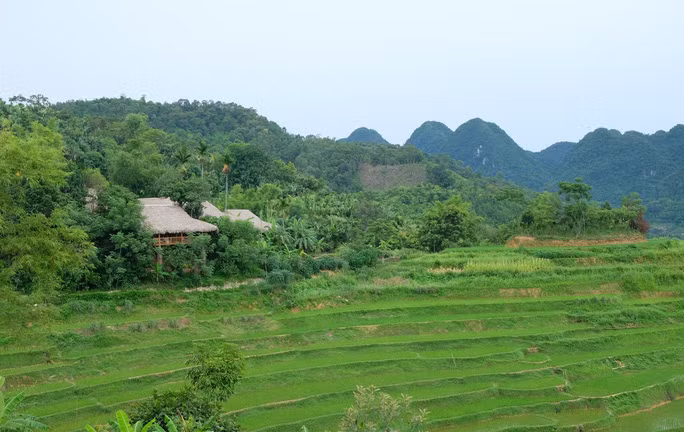 Những nếp nhà sàn nép mình trong những cánh rừng xanh bạt ngàn