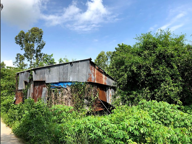 Sau vụ xô xát người chết, kẻ đi tù, căn nhà của anh em Hậu, Phương bị bỏ hoang phế, cỏ mọc um tùm ẢNH: LAM NGỌC