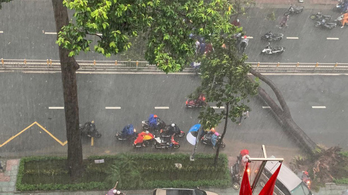 Cây xanh trên đường Nguyễn Tri Phương, quận 10, TP HCM đổ ngã. Cây xanh trên đường Nguyễn Tri Phương, quận 10, TP HCM đổ ngã.