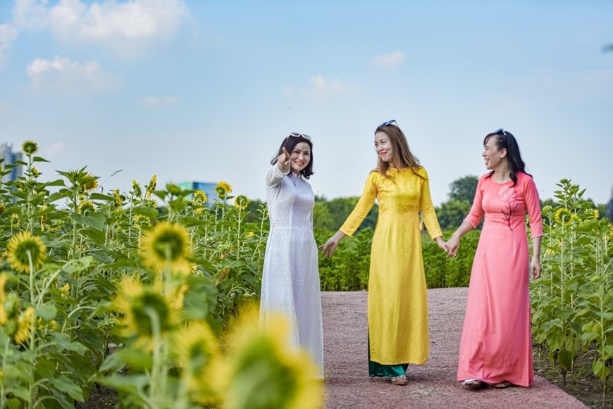 Những năm trước đây, cánh đồng hướng dương là đặc sản chào hè của Ecopark. Trong cái nắng đầu hè oi ả, cánh đồng hướng dương khoe sắc bên hồ nước mát trong vẫn là điểm đến thu hút hàng trăm du khách/ngày. Năm nay, cánh đồng hướng dương Ecopark lại bung nở đón chào du khách vào những ngày đầu thu. Trong cái se se lạnh của những cơn gió heo may đầu mùa, sắc hoa vàng tươi dễ dàng níu chân bất cứ vị khách khó tính nào.