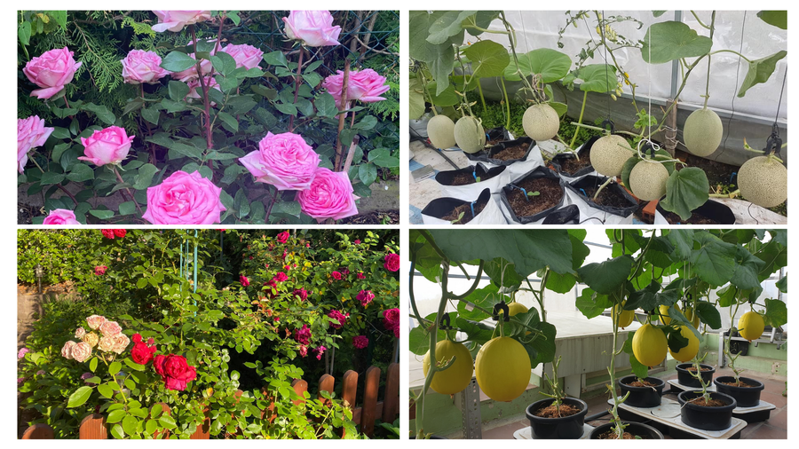 Đồ họa: Đức Mạnh Đồ họa: Đức Mạnh