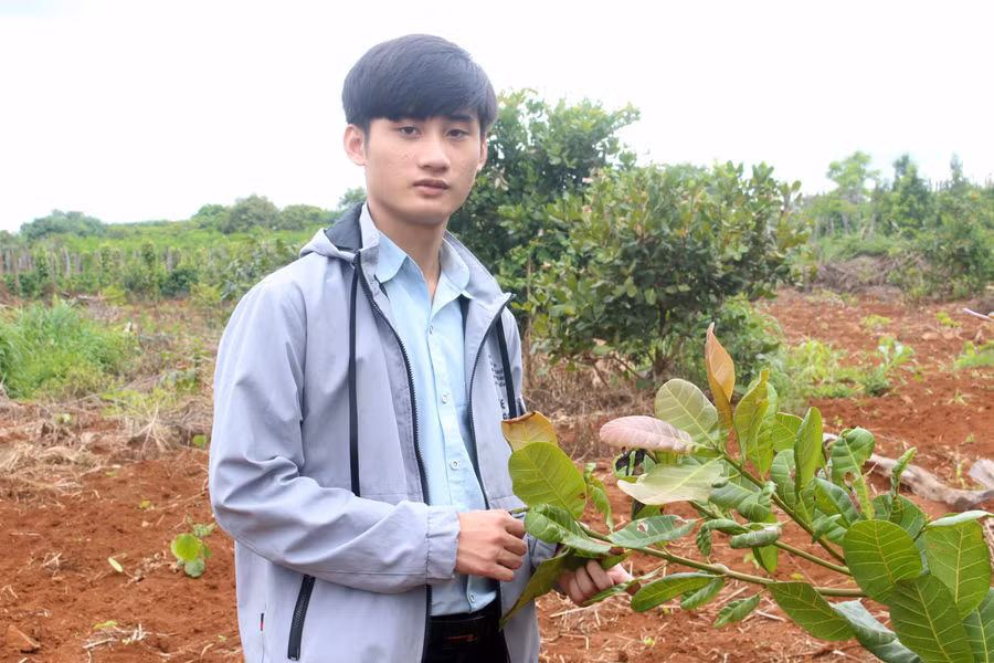 Em Nguyễn Hồng Tín đã đạt 26,25 điểm trong kỳ thi tốt nghiệp THPT 2020. Ảnh: Nguyễn Giang 