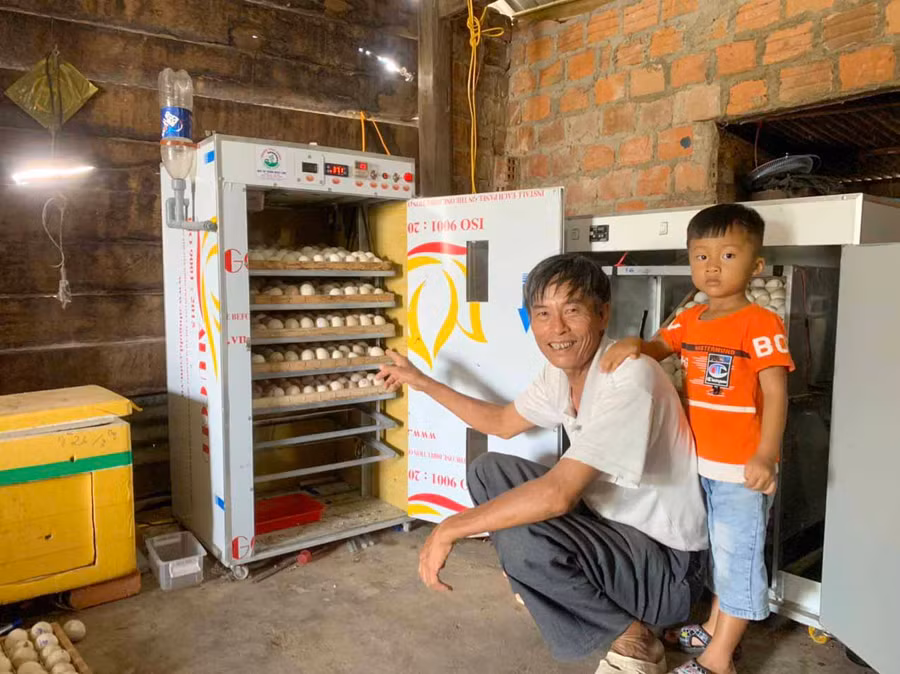 Ông Lê Chí Hiểu (điểm 9, xã Ia Hiao, huyện Phú Thiện) kiểm tra máy ấp trứng. Ảnh: Vũ Chi