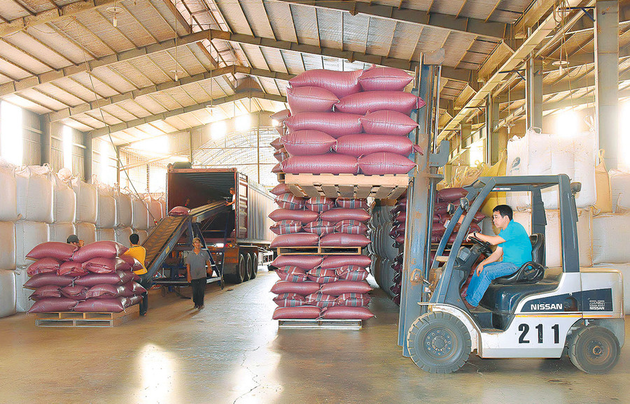 Xuất khẩu cà phê ở Công ty TNHH Xuất nhập khẩu Hoa Trang (TP. Pleiku). Ảnh: Đức Thụy