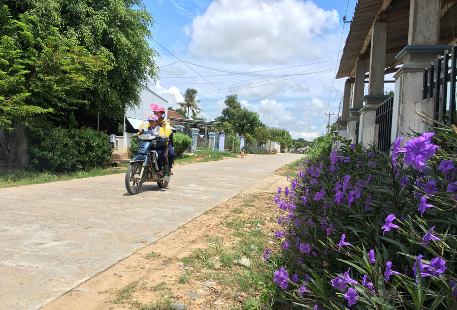 Đường hoa ở thôn Tân Hiệp (xã Tân An, huyện Đak Pơ). Ảnh: Quang Tấn