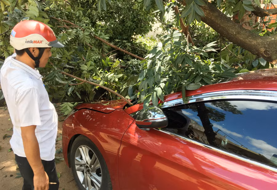 Một xe ô tô đậu bên đường bị hư hòng nặng do bị cây đè. Ảnh: Quang Tấn